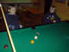 DSC00267.JPG (57362 Byte)